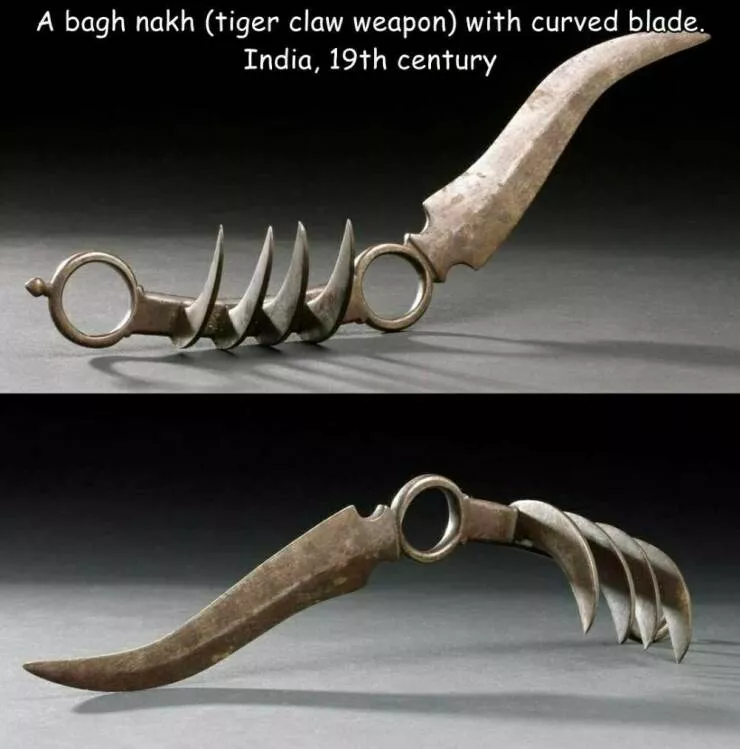 A wild mix of fun and weirdness to brighten your day - #17 