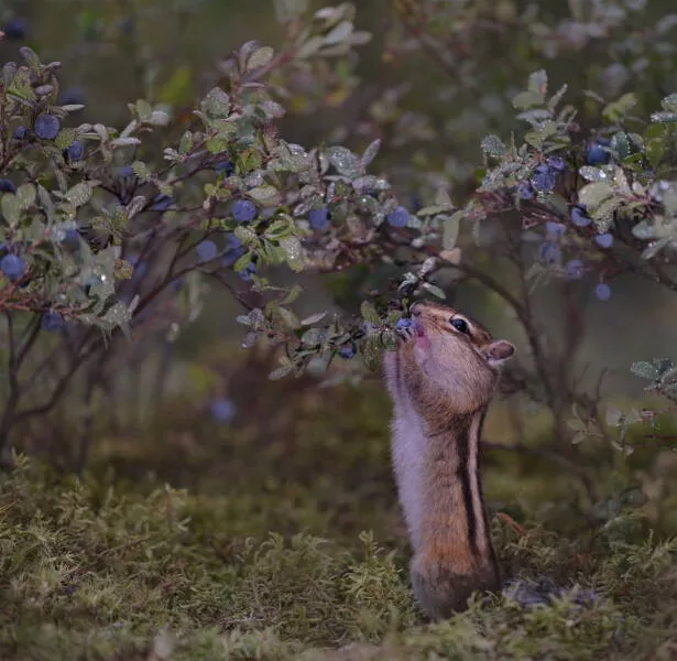 A wild mix of fun and weirdness to brighten your day - #2 