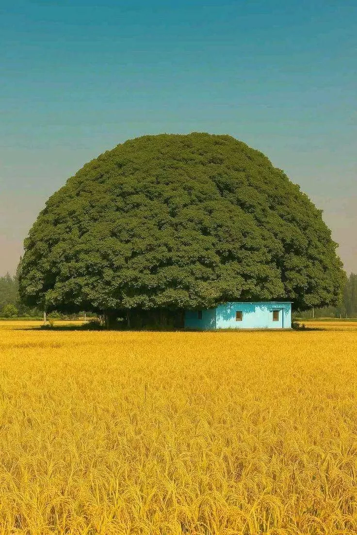 A wild mix of fun and weirdness to brighten your day - #31 
