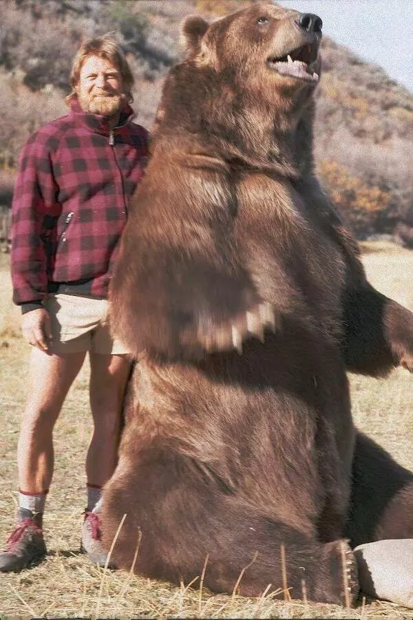 A wild mix of fun and weirdness to brighten your day - #42 