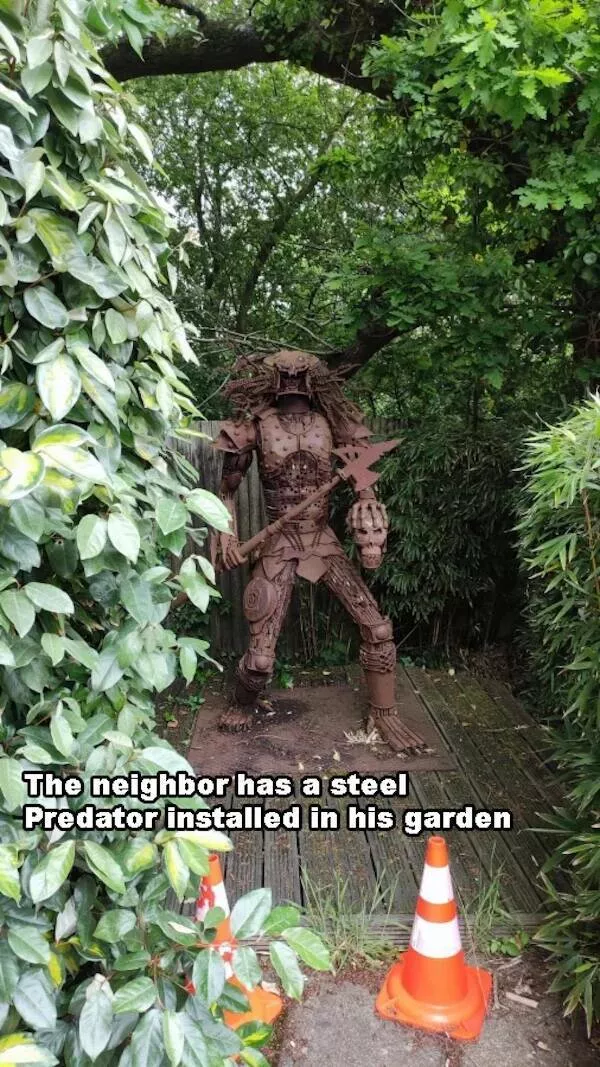 A wild mix of fun and weirdness to brighten your day - #50 