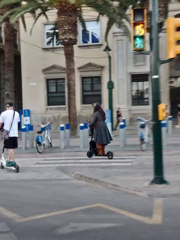 A wild mix of fun and weirdness to brighten your day - #54 
