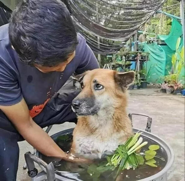 Random photo moments that hit just right dump 1064 - #17 