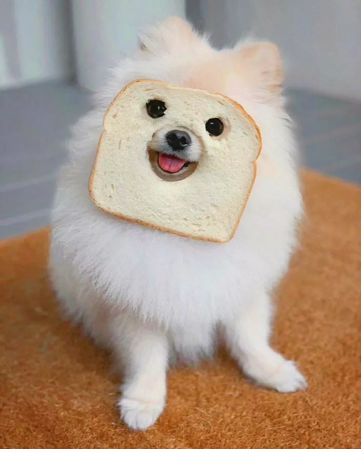 Random photo moments that hit just right dump 1064 - #32 