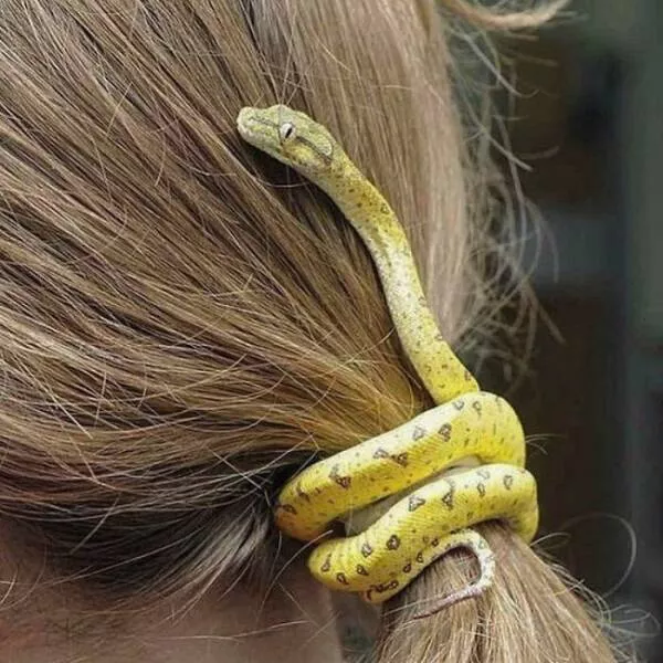 Moments insolites captures en images edition 1064 - #46 