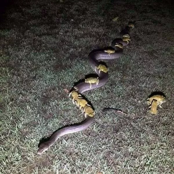 Disturbing images that haunt your mind forever - #13 