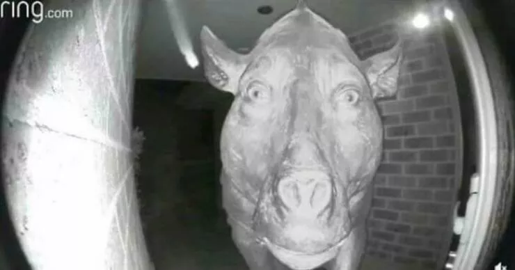 Disturbing images that haunt your mind forever - #19 