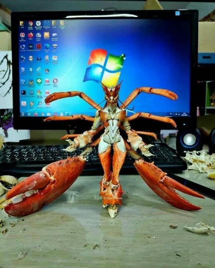 Disturbing images that haunt your mind forever - #39 