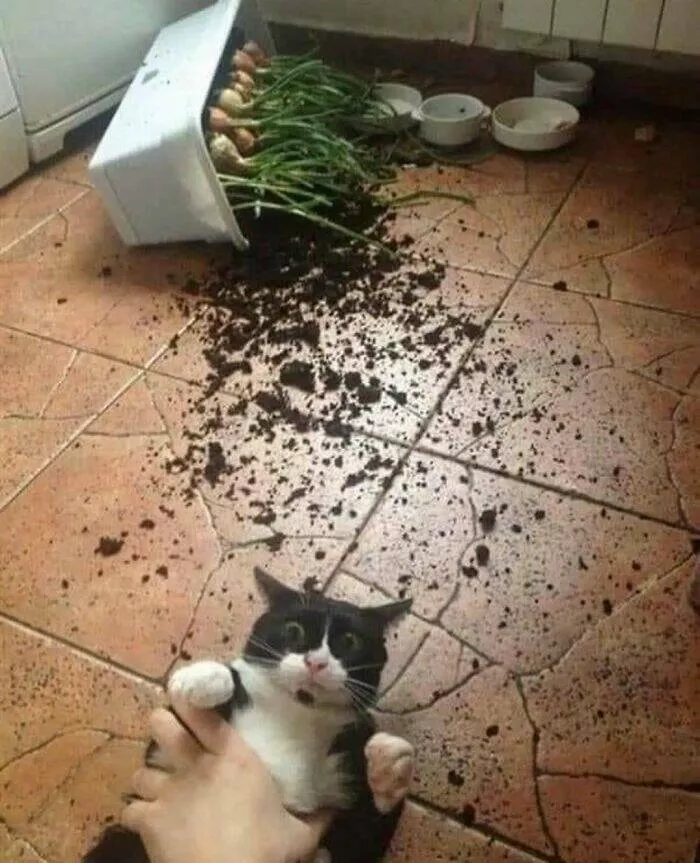 Disturbing images that haunt your mind forever - #4 
