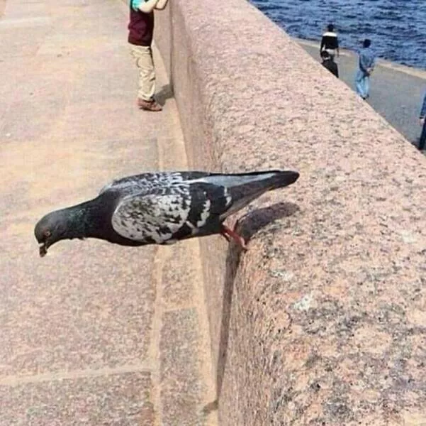 Disturbing images that haunt your mind forever - #7 