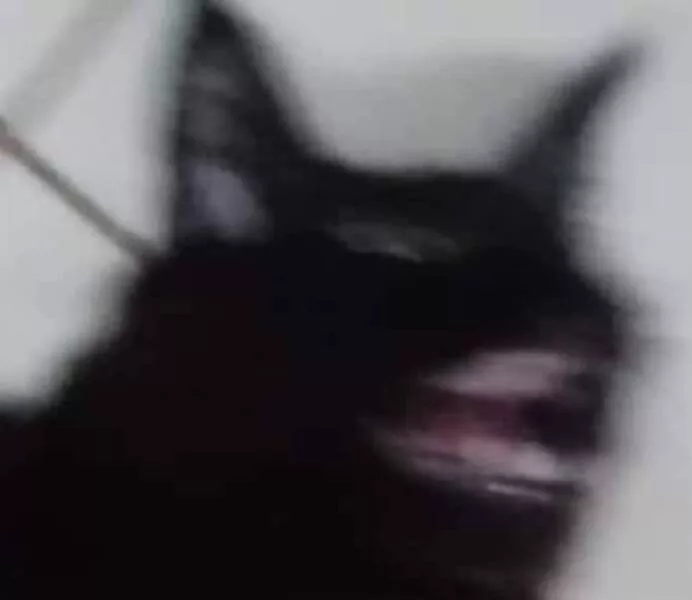 Quick furry and blurry capturing life in motion - #23 