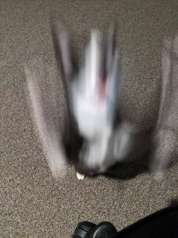 Quick furry and blurry capturing life in motion - #4 