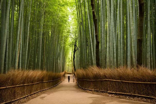 Why you must visit japan - #1 