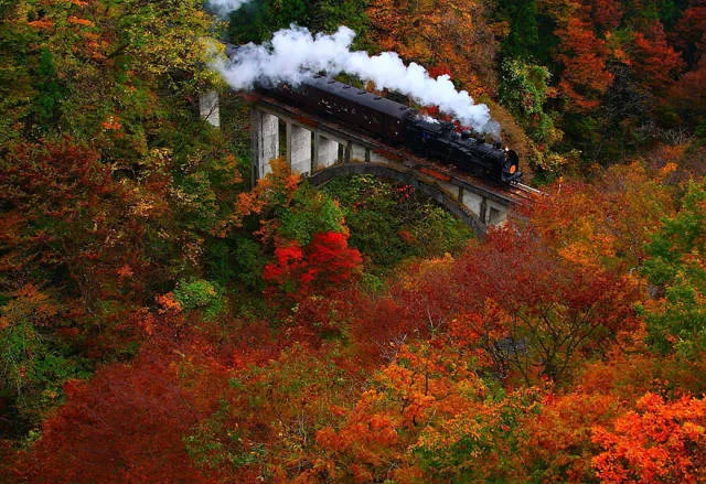 Why you must visit japan - #15 