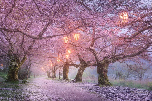 Why you must visit japan - #16 