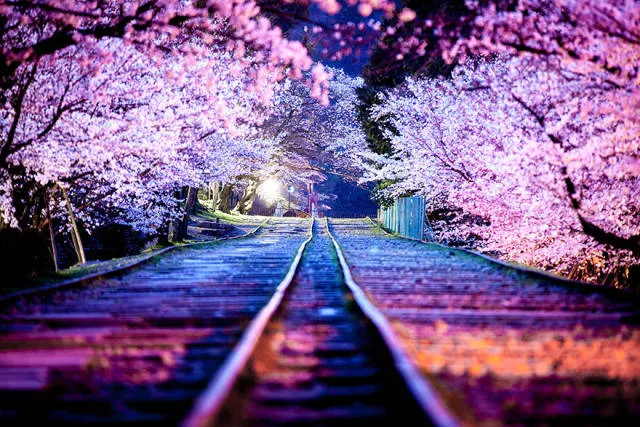 Why you must visit japan - #17 