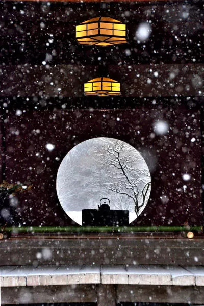 Pourquoi visiter le japon - #20 