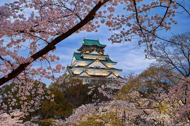 Why you must visit japan - #23 