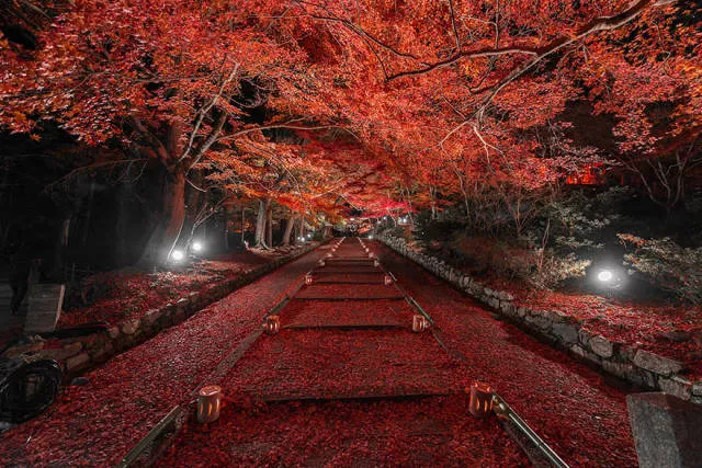 Why you must visit japan - #25 