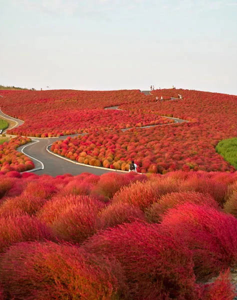Why you must visit japan - #3 