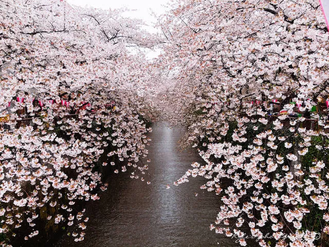 Pourquoi visiter le japon - #33 