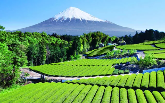 Pourquoi visiter le japon - #36 