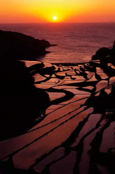 Why you must visit japan - #37 