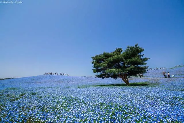 Why you must visit japan - #4 