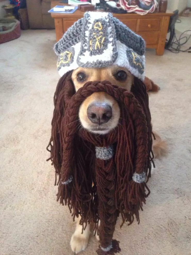 Picdump 1064 - #10 