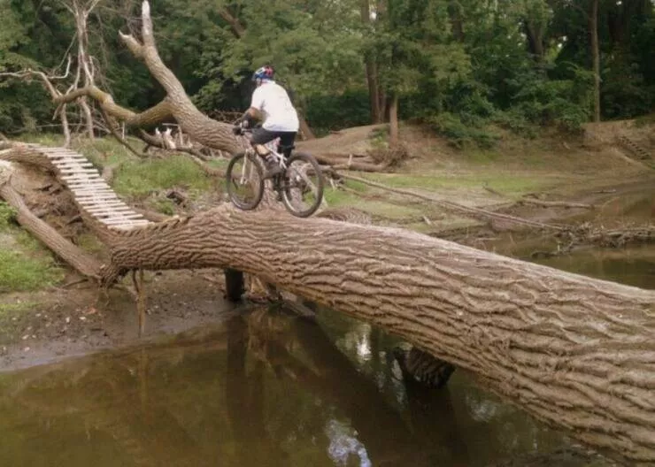 Picdump 1064 - #15 