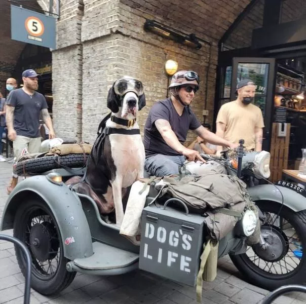 Picdump 1064 - #40 