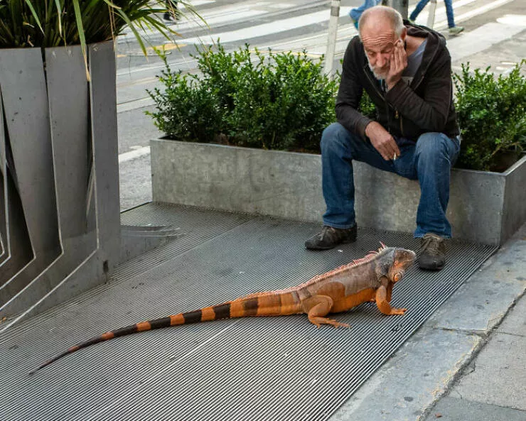 Street photography at its best - #39 Street photography at its best - #39