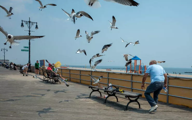 Street photography at its best - #4 