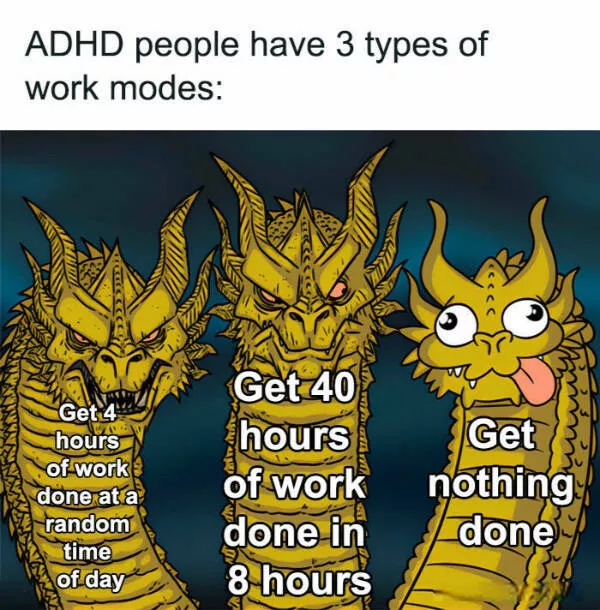 Memes that speak the adhd mind language - #27 
