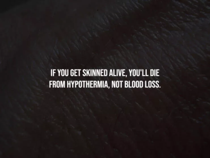 Dark realities youll regret uncovering - #2 