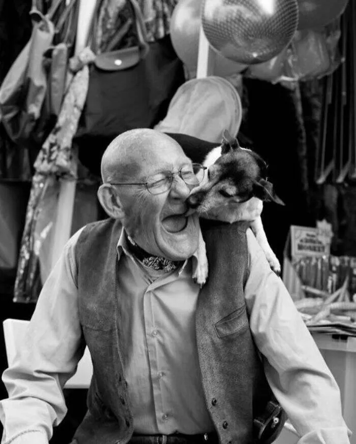 Animaux adorables en plein bazar - #9 