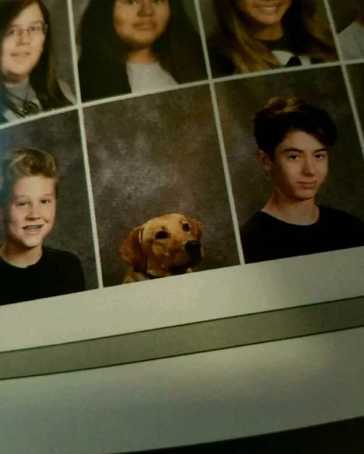 Picdump 1065 - #17 