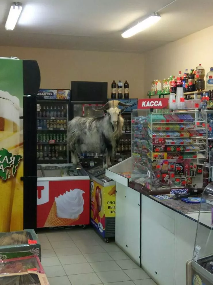 Picdump 1065 - #50 Picdump 1065 - #50