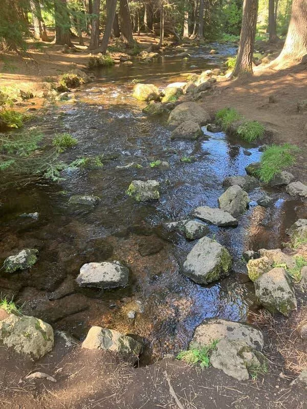 Picdump 1065 - #76 Where rivers begin: a whisper of water in wild terrain