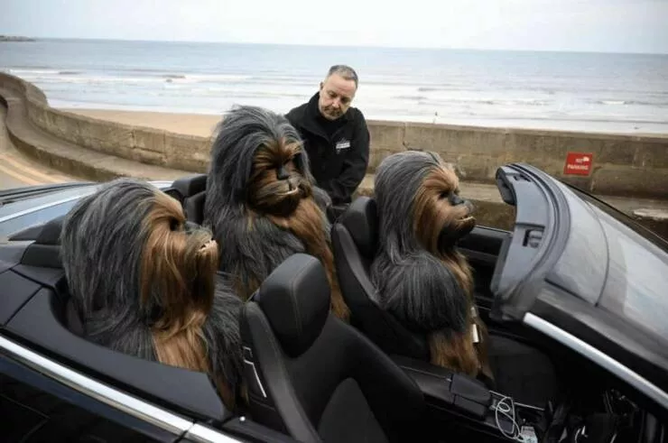 Picdump 1066 - #38 