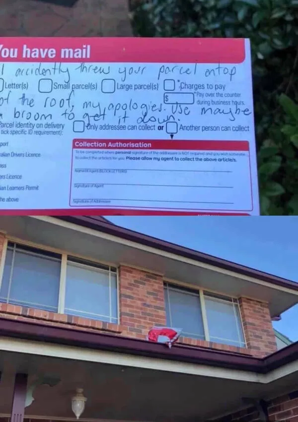 When delivery fails so hard it becomes comedy - #11 Delivery disaster strikes with zero warning or remorse