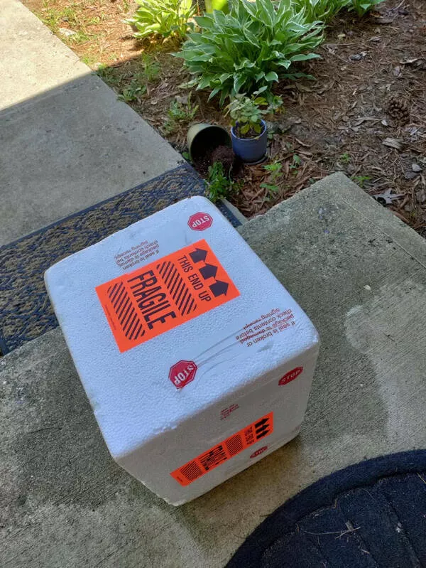 When delivery fails so hard it becomes comedy - #19 Gene therapy meds delivered late, plant destroyed, insult added