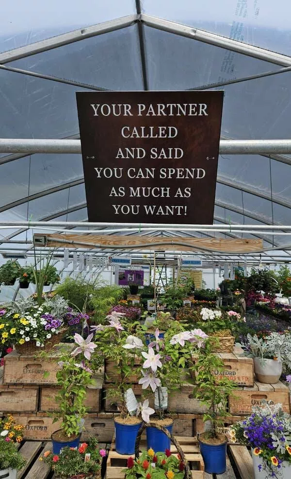 When madness meets masterful vision - #18 Nursery owners roast customers with plant-based sarcasm daily