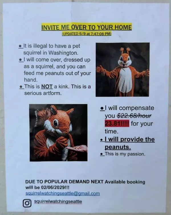 When madness meets masterful vision - #19 Flyer so bizarre it blurs line between real and satire