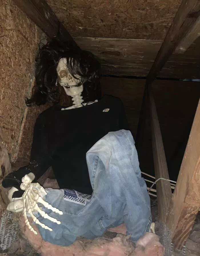 When madness meets masterful vision - #3 Home seller hides a cheeky gift in the crawlspace for new owners