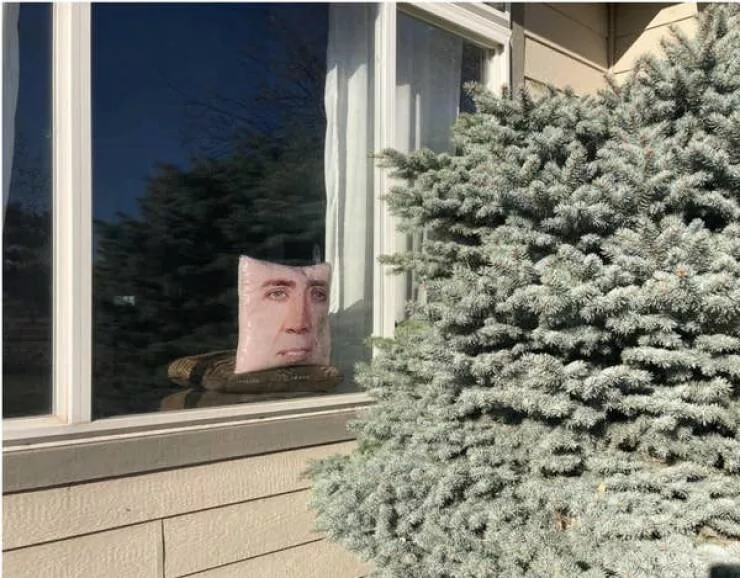 When madness meets masterful vision - #33 Kid tapes a cartoon bird to window to scare real ones away