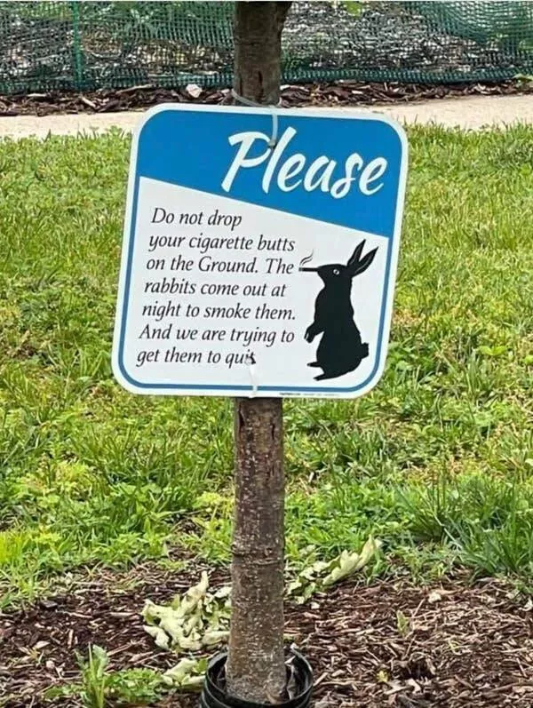 When madness meets masterful vision - #9 Sign so witty it deserves a Pulitzer in comedy writing