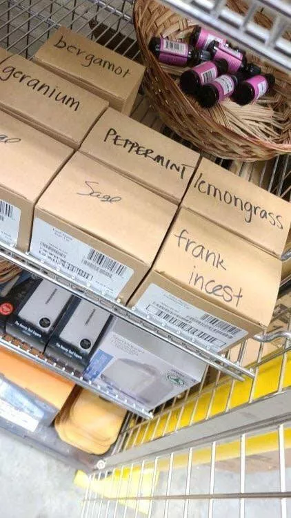 Pure chaos and comedy in picture form - #14 