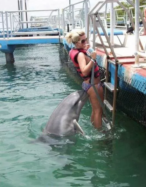 Picdump 18 - #14 Picdump 18 - #14