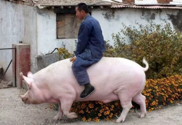 Picdump 18 - #30 Picdump 18 - #30